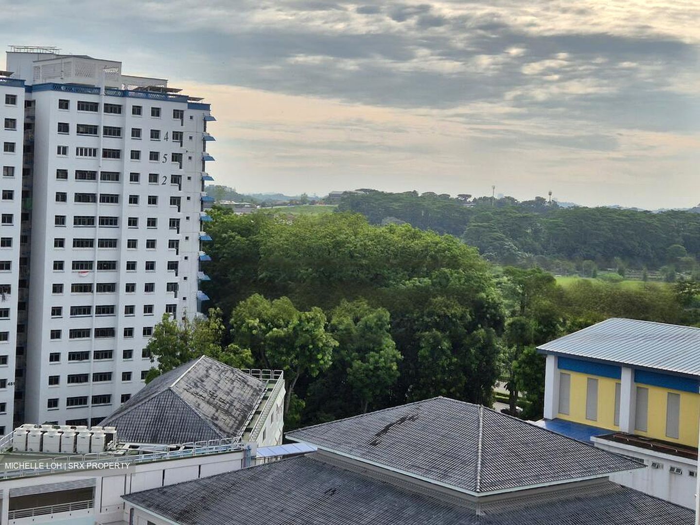 Blk 446 Choa Chu Kang Avenue 4 (Choa Chu Kang), HDB 4 Rooms #480719031